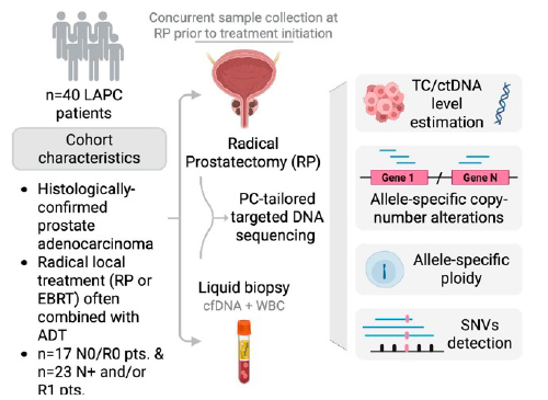 Studio LAPC carcinoma prostatico localmente avanzato