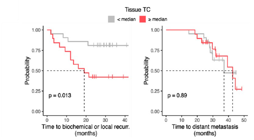 Studio LAPC carcinoma prostatico localmente avanzato