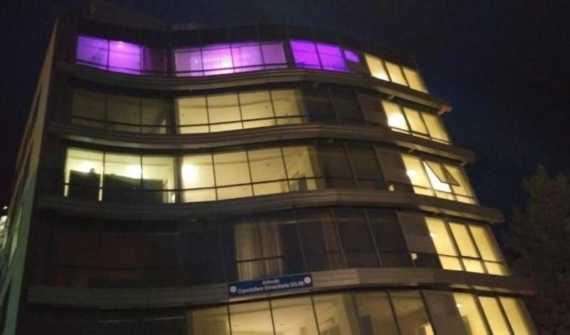 Giornata internazionale dell'epilessia