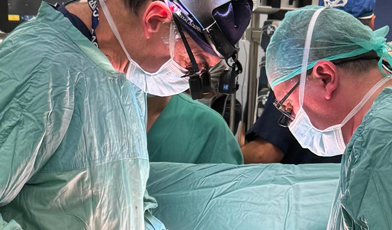 Foto Prof Domenico Paparella